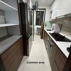 The Brownstone (D27), Condominium #515407921